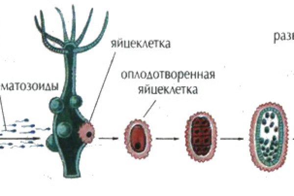 Сайты даркнета