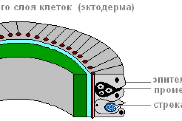 Кракен марке даркнет