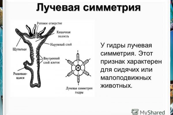 Кракен даркнет рабочая