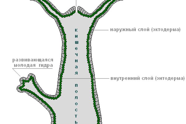 Адрес сайта даркнет